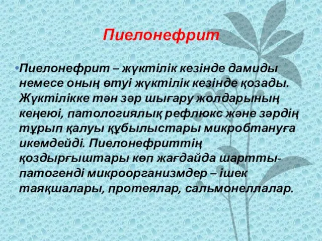 Пиелонефрит Пиелонефрит – жүктілік кезінде дамиды немесе оның өтуі жүктілік