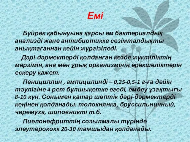 Емі Бүйрек қабынуына қарсы ем бактериалдық анализді жане антибиотикке сезімталдықты