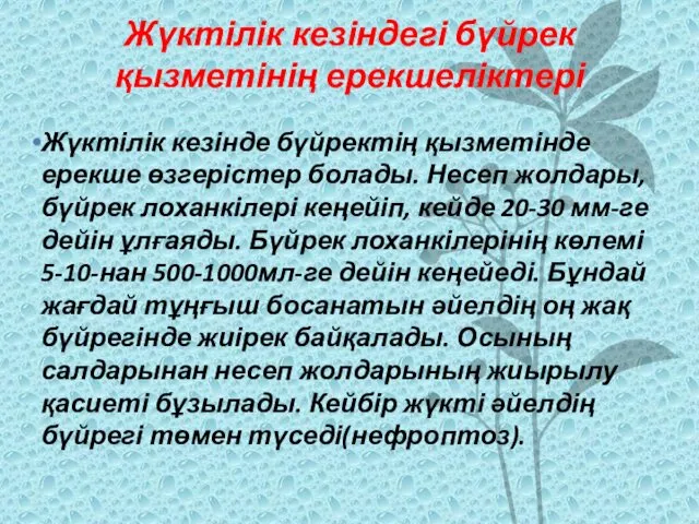 Жүктілік кезіндегі бүйрек қызметінің ерекшеліктері Жүктілік кезінде бүйректің қызметінде ерекше