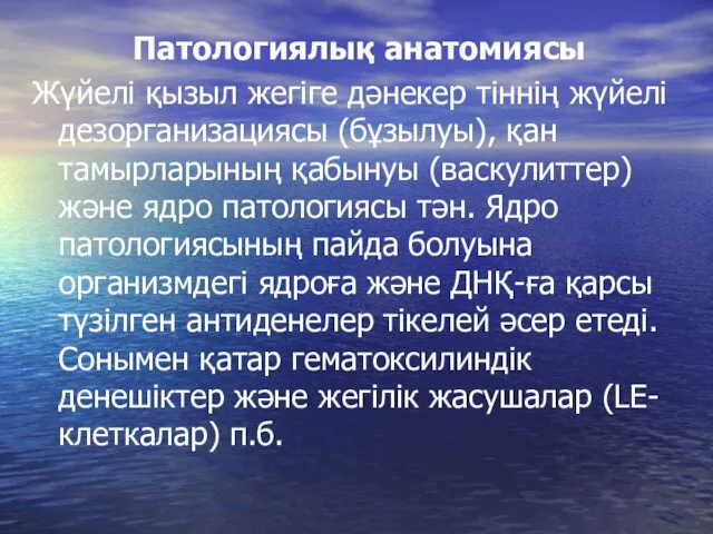 Патологиялық анатомиясы Жүйелі қызыл жегіге дәнекер тіннің жүйелі дезорганизациясы (бұзылуы),