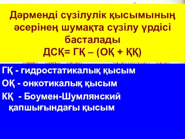 Дәрменді сүзілулік қысымының әсерінең шумақта сүзілу үрдісі басталады ДСҚ= ГҚ