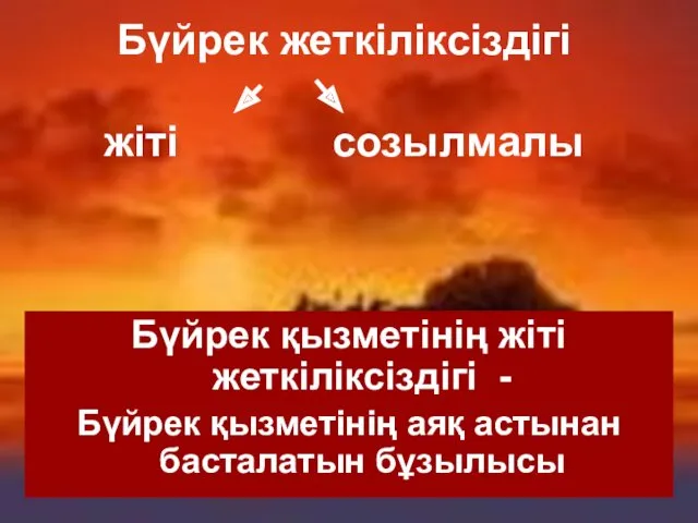 Бүйрек жеткіліксіздігі жіті созылмалы Бүйрек қызметінің жіті жеткіліксіздігі - Бүйрек қызметінің аяқ астынан басталатын бұзылысы