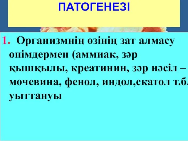 ПАТОГЕНЕЗІ 1. Организмнің өзінің зат алмасу өнімдермен (аммиак, зәр қышқылы,