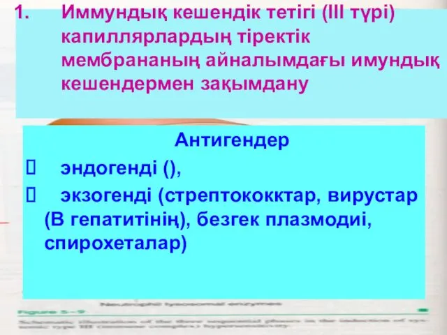 Антигендер эндогенді (), экзогенді (стрептококктар, вирустар (В гепатитінің), безгек плазмодиі,