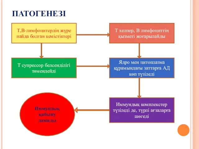 ПАТОГЕНЕЗІ Т,В-лимфоцитердің жүре пайда болған кемістіктері Т хелпер, В лимфоциттің