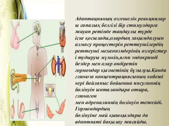 Адаптацияның өзгешелік реакциялары сапалық белгілі бір стимулдарға жауап ретінде таңдаулы