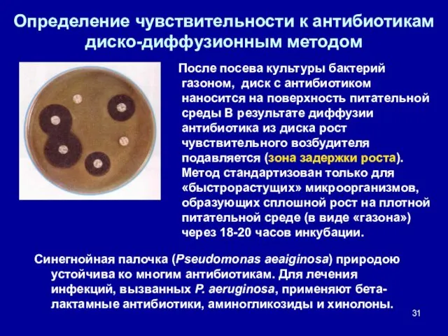 Определение чувствительности к антибиотикам диско-диффузионным методом После посева культуры бактерий