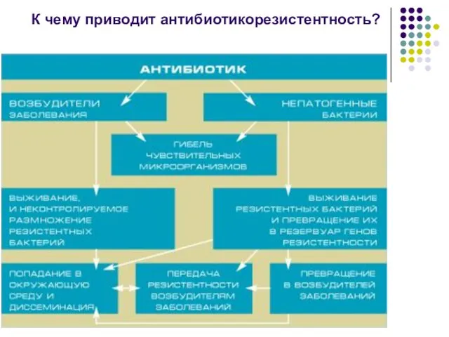 К чему приводит антибиотикорезистентность?