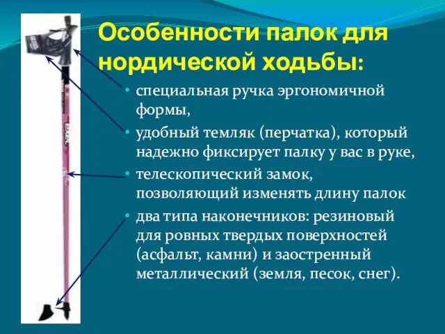 Особенности палок для нордической ходьбы: специальная ручка эргономичной формы, удобный