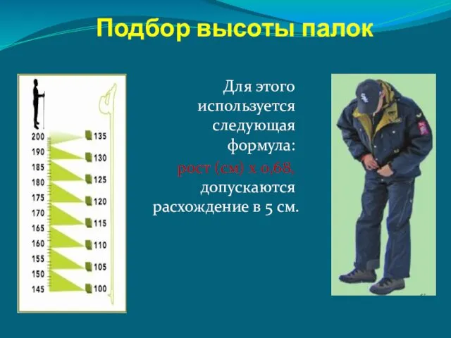 Подбор высоты палок Для этого используется следующая формула: рост (см)