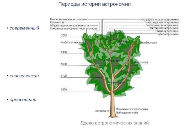 Периоды истории астрономии современный классический древнейший Древо астрономических знаний