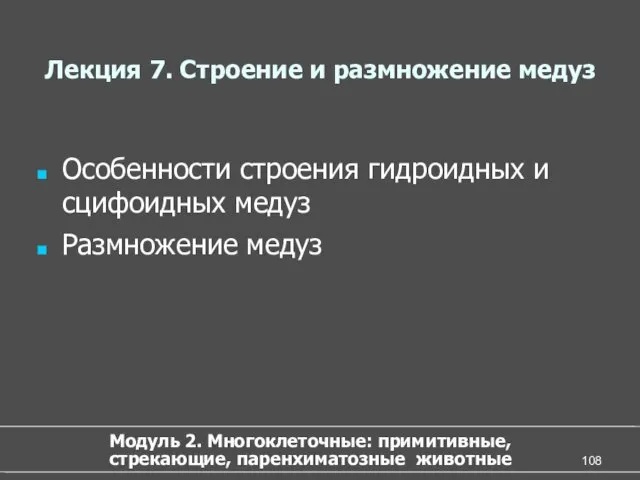 Лекция 7. Строение и размножение медуз Особенности строения гидроидных и