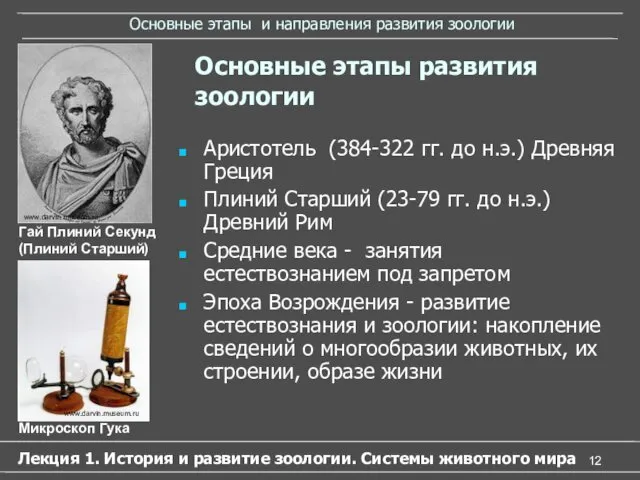 Основные этапы и направления развития зоологии Аристотель (384-322 гг. до