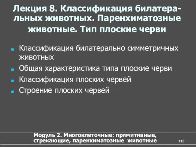 Лекция 8. Классификация билатера-льных животных. Паренхиматозные животные. Тип плоские черви