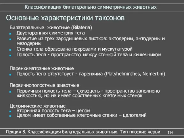 Классификация билатерально симметричных животных Лекция 8. Классификация билатеральных животных. Тип