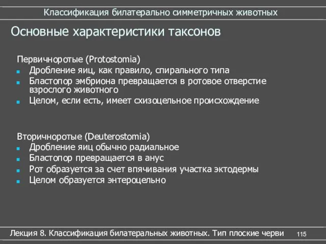 Классификация билатерально симметричных животных Лекция 8. Классификация билатеральных животных. Тип