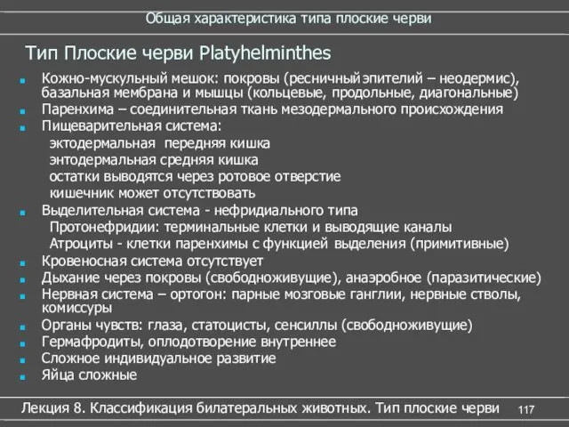 Общая характеристика типа плоские черви Кожно-мускульный мешок: покровы (ресничный эпителий