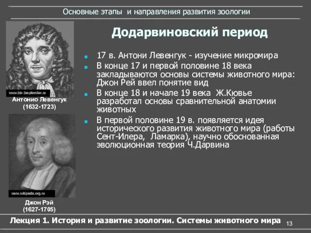 Основные этапы и направления развития зоологии 17 в. Антони Левенгук