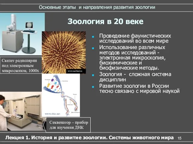 Основные этапы и направления развития зоологии Проведение фаунистических исследований во