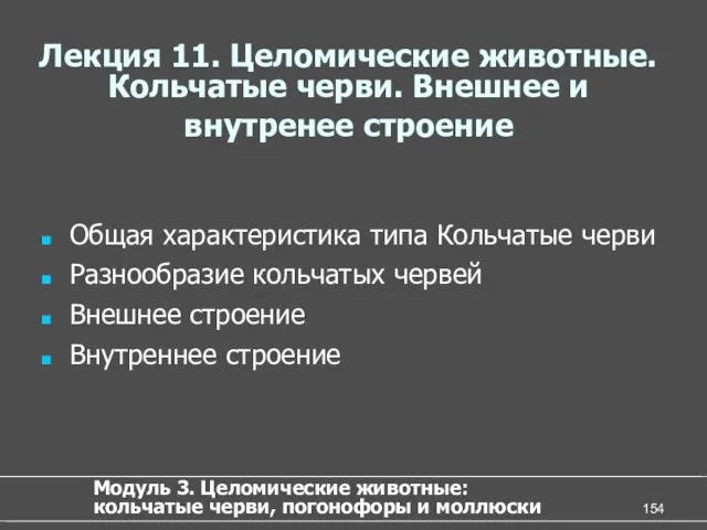 Лекция 11. Целомические животные. Кольчатые черви. Внешнее и внутренее строение