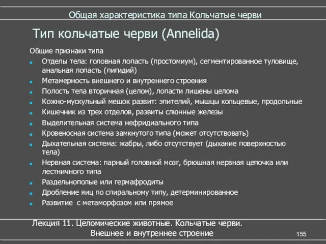 Общая характеристика типа Кольчатые черви Общие признаки типа Отделы тела: