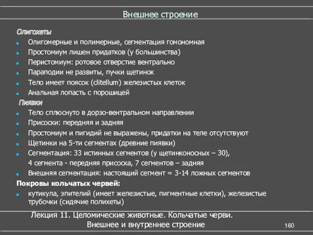 Внешнее строение Олигохеты Олигомерные и полимерные, сегментация гомономная Простомиум лишен