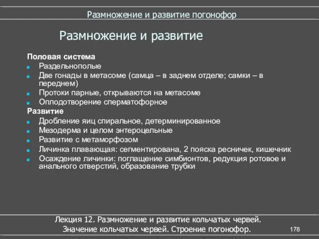 Размножение и развитие погонофор Половая система Раздельнополые Две гонады в