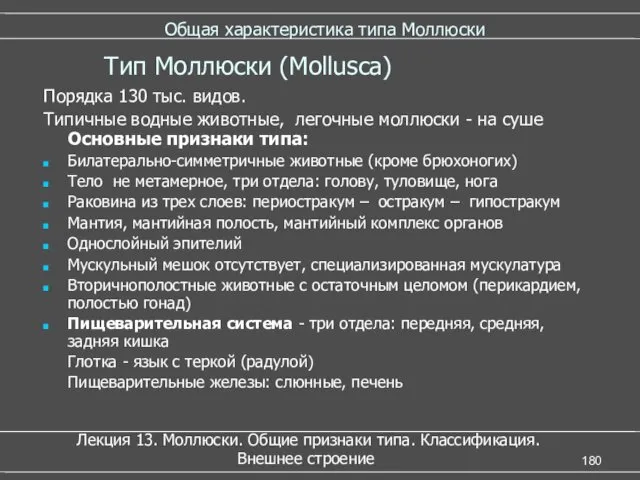 Общая характеристика типа Моллюски Порядка 130 тыс. видов. Типичные водные