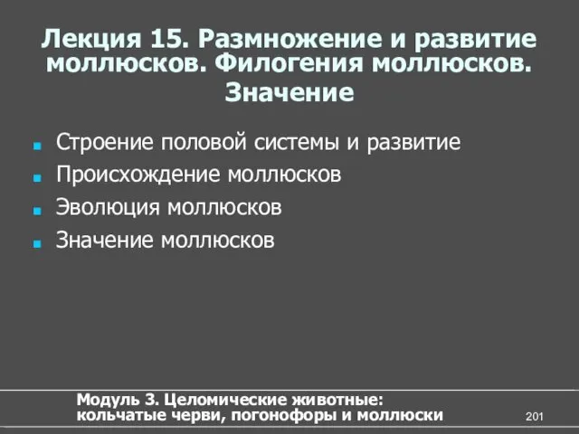 Лекция 15. Размножение и развитие моллюсков. Филогения моллюсков. Значение Строение