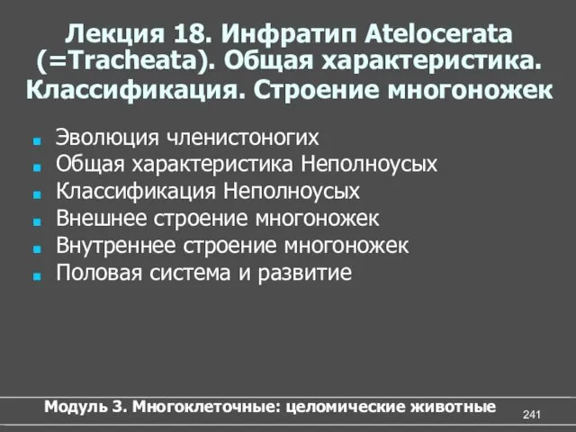 Лекция 18. Инфратип Atelocerata (=Tracheata). Общая характеристика. Классификация. Строение многоножек