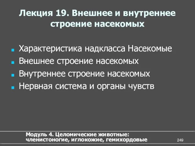 Лекция 19. Внешнее и внутреннее строение насекомых Характеристика надкласса Насекомые