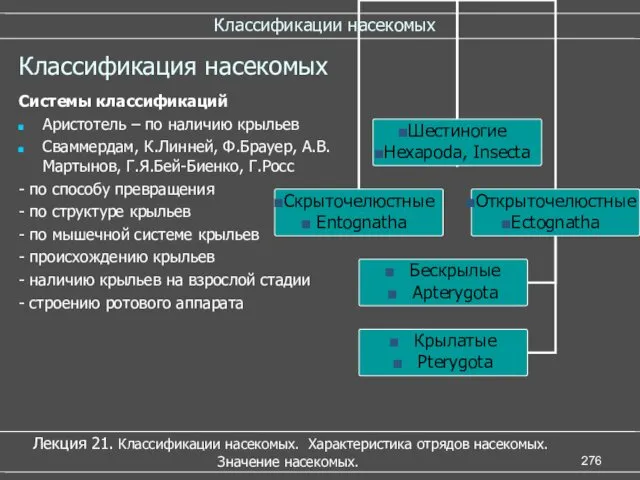 Классификации насекомых Лекция 21. Классификации насекомых. Характеристика отрядов насекомых. Значение