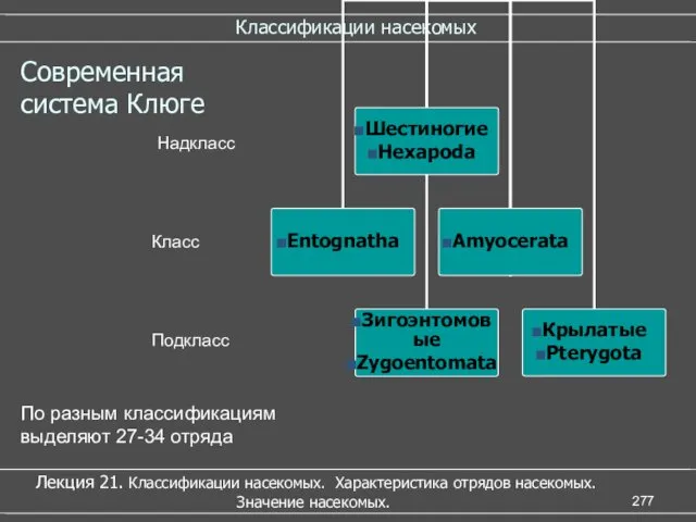 Классификации насекомых Лекция 21. Классификации насекомых. Характеристика отрядов насекомых. Значение