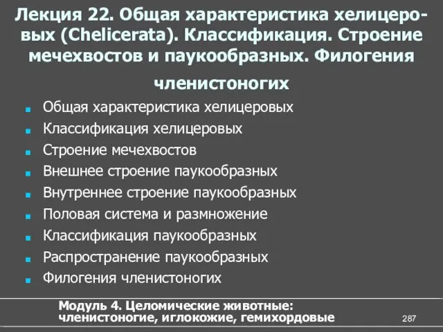 Лекция 22. Общая характеристика хелицеро-вых (Chelicerata). Классификация. Строение мечехвостов и