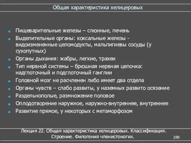 Общая характеристика хелицеровых Пищеварительные железы – слюнные, печень Выделительные органы: