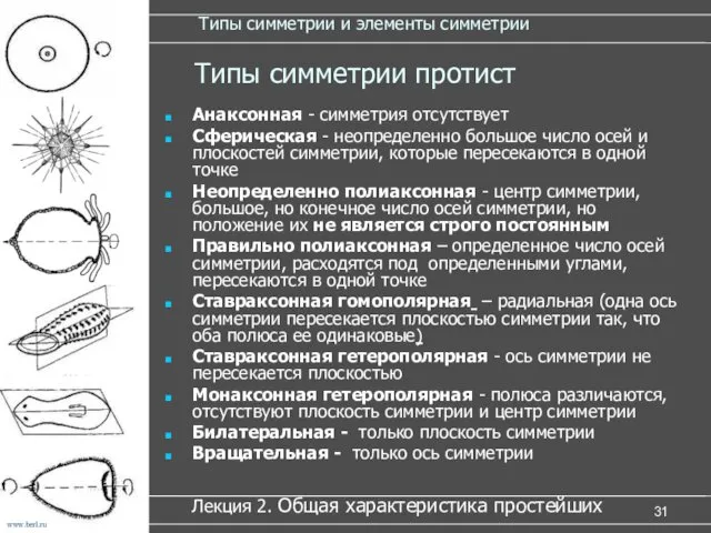 Типы симметрии и элементы симметрии Анаксонная - симметрия отсутствует Сферическая