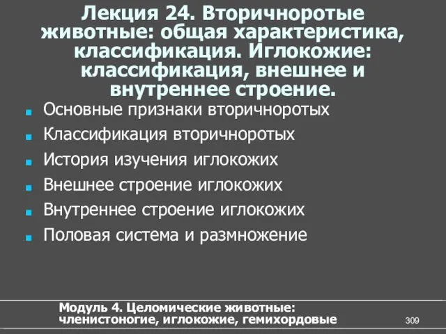 Лекция 24. Вторичноротые животные: общая характеристика, классификация. Иглокожие: классификация, внешнее