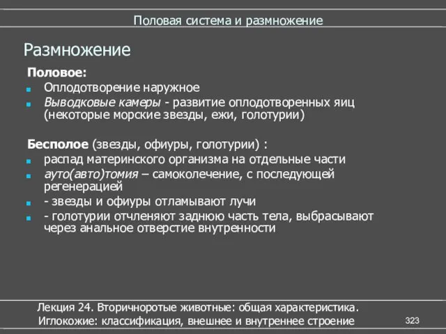 Половая система и размножение Половое: Оплодотворение наружное Выводковые камеры -