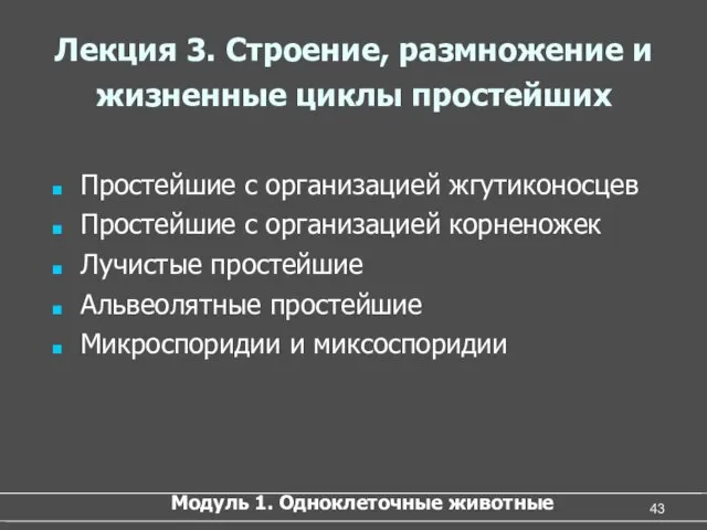 Лекция 3. Строение, размножение и жизненные циклы простейших Простейшие с