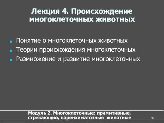 Лекция 4. Происхождение многоклеточных животных Понятие о многоклеточных животных Теории