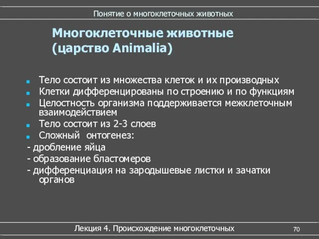 Понятие о многоклеточных животных Тело состоит из множества клеток и