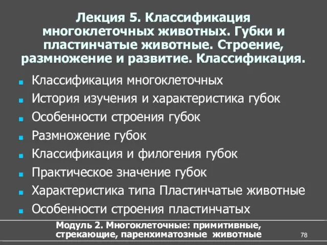 Лекция 5. Классификация многоклеточных животных. Губки и пластинчатые животные. Строение,