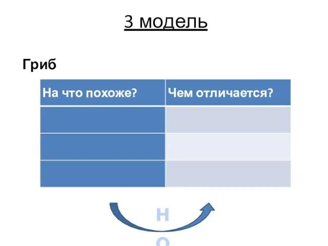 но 3 модель Гриб