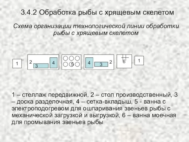 3.4.2 Обработка рыбы с хрящевым скелетом Схема организации технологической линии