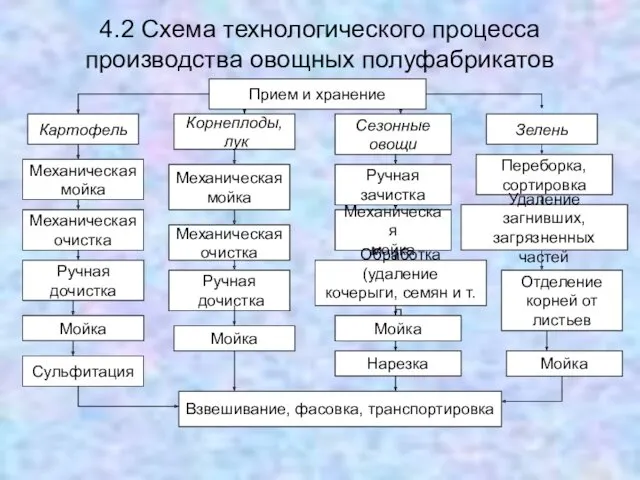 4.2 Схема технологического процесса производства овощных полуфабрикатов Прием и хранение