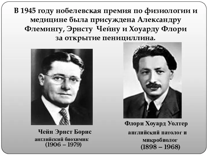 В 1945 году нобелевская премия по физиологии и медицине была присуждена Александру Флемингу,