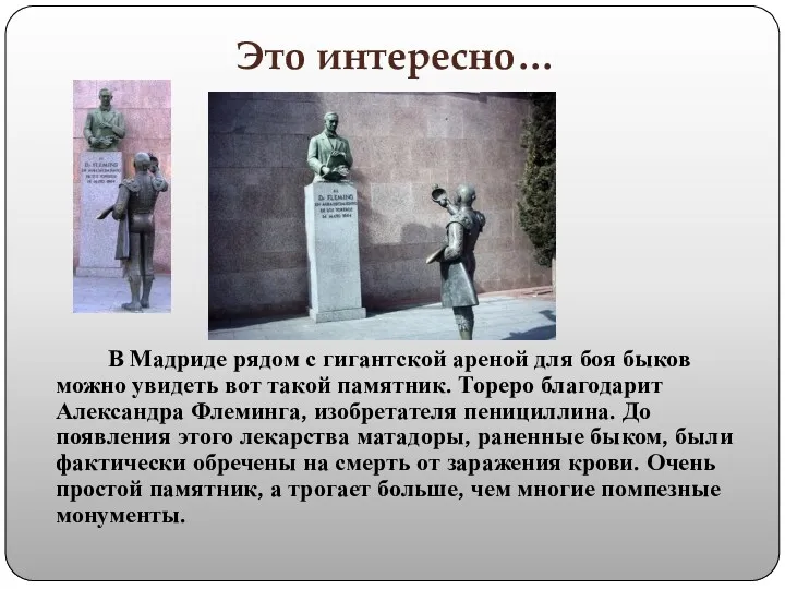 Это интересно… В Мадриде рядом с гигантской ареной для боя быков можно увидеть