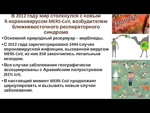 В 2012 году мир столкнулся с новым ß-коронавирусом MERS-CoV, возбудителем