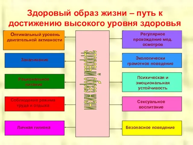 Здоровый образ жизни – путь к достижению высокого уровня здоровья здоровый образ жизни