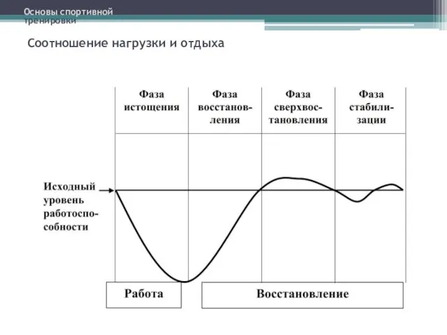 Соотношение нагрузки и отдыха Основы спортивной тренировки